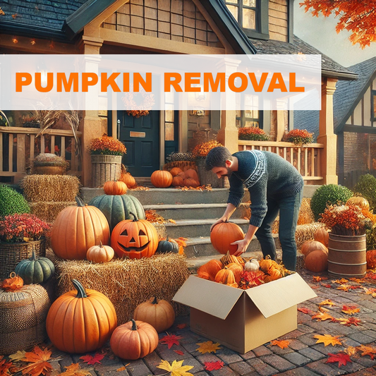 Pumpkin Removal (Packages 3 - 6)